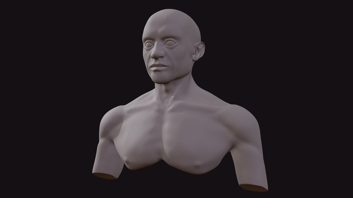 Human Male Bust 3D Model