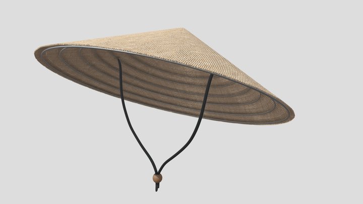 Rice Hat 3D Model
