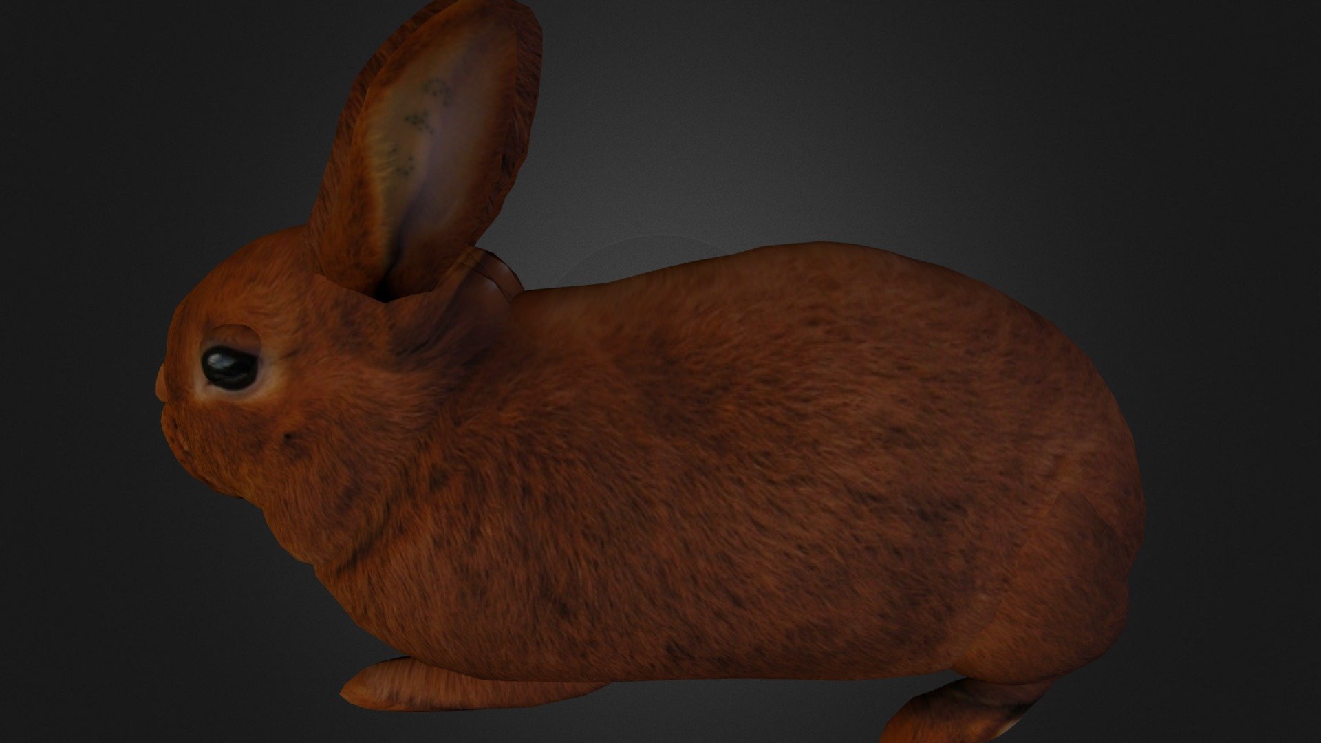 bunny furry model 3d blender download