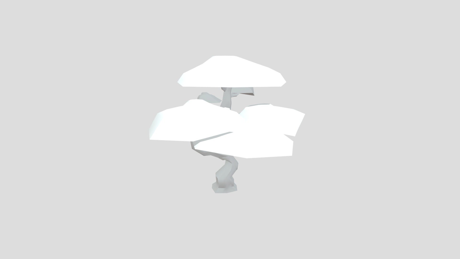 Bonsai Tree