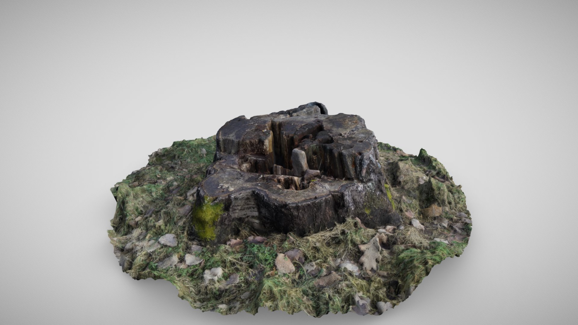 Mossy Stump