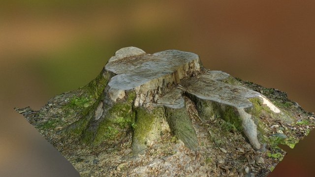 baustamm 3D Model