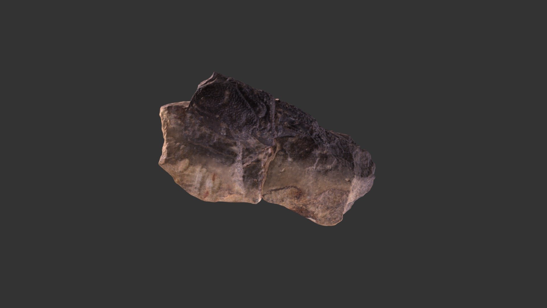 Glyphea prestwichi