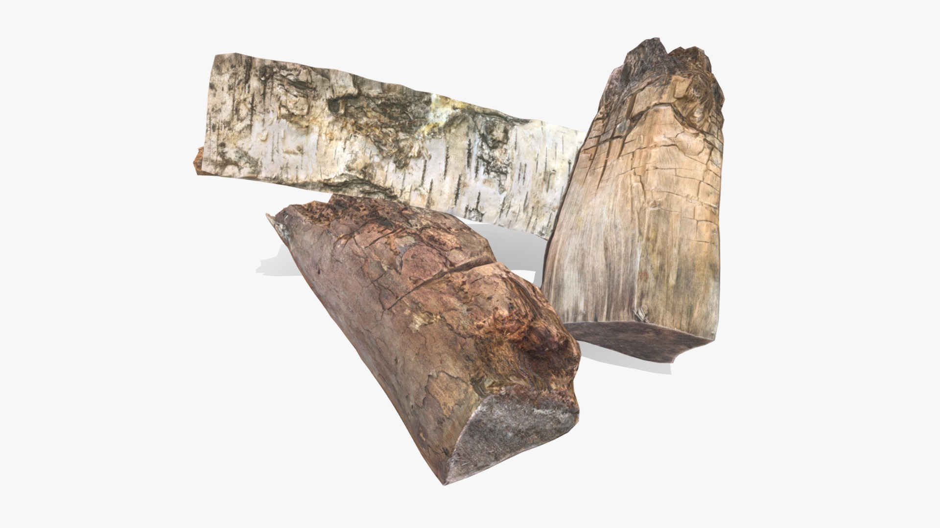 3D model Logs Rotten - This is a 3D model of the Logs Rotten. The 3D model is about a few pieces of wood.