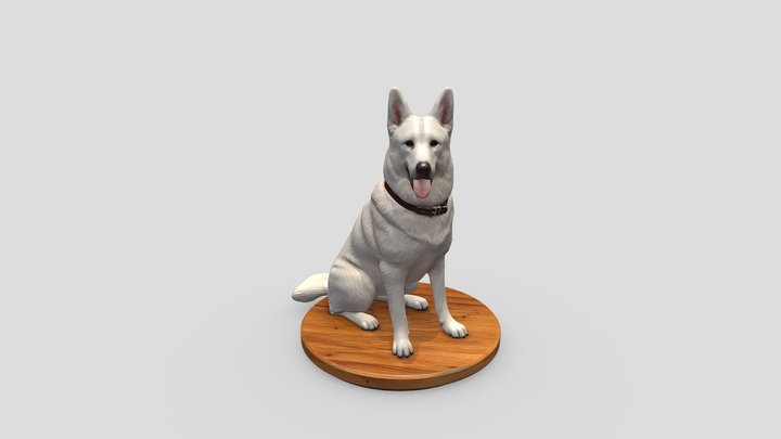 witteHerder 3D Model