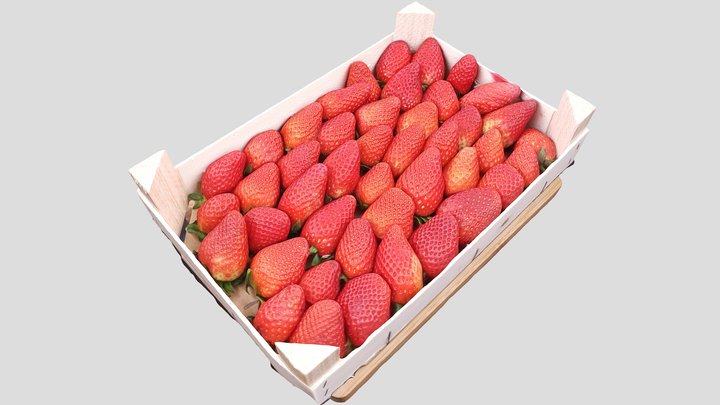 The big strawberry test 3D Model