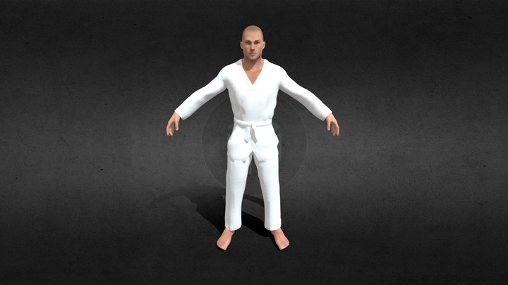 oss in Karate 3D Model