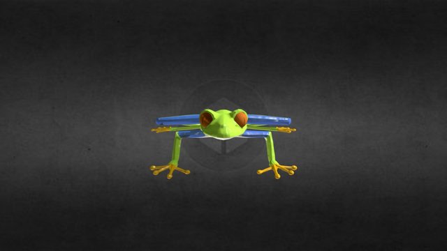 Ribbit 3D Model