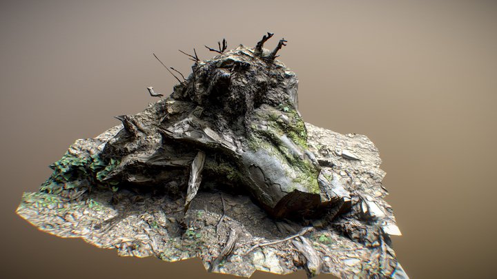 Destroyed Stump 3D Model