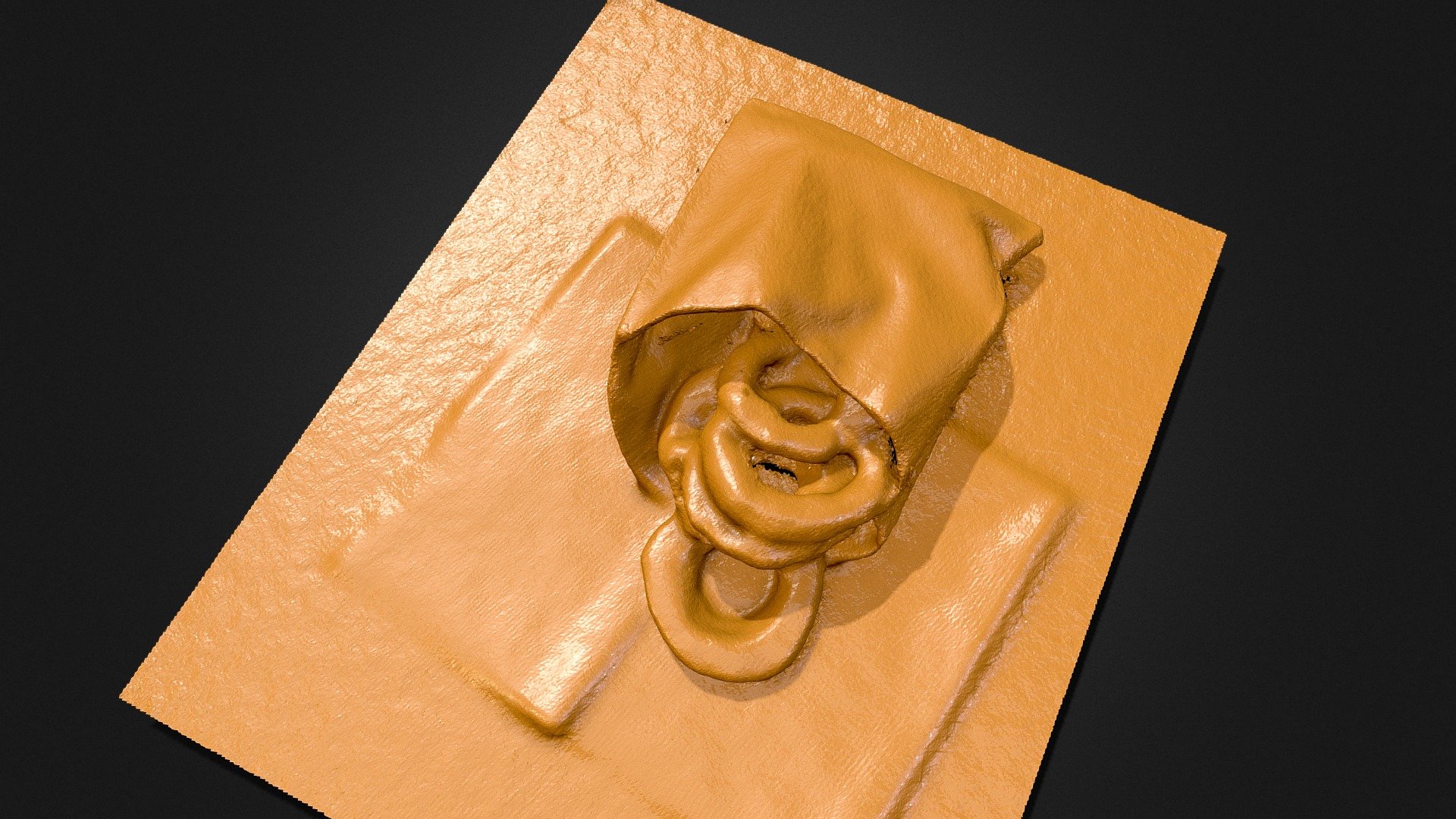 Onion ring scans with iPhone12 Pro_2