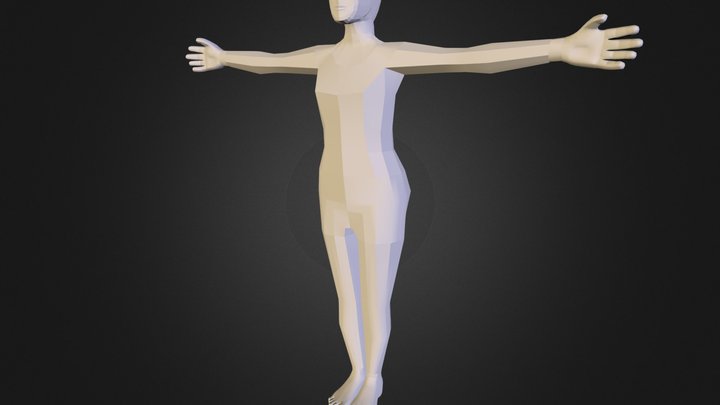 Body Combined 3D Model
