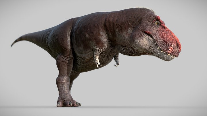 Dinosaur 3D models - Sketchfab