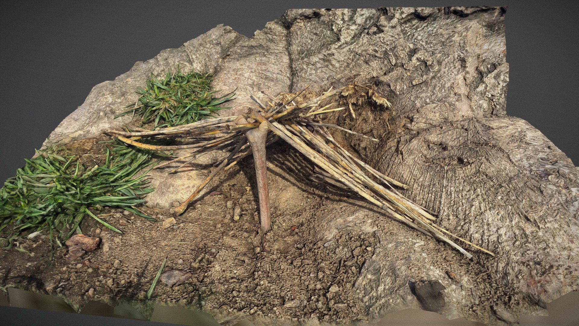 William's Fort — Sketchfab embed 3D viewer