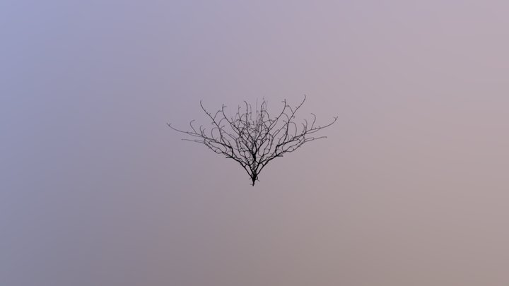 Burnt Bush002 3D Model