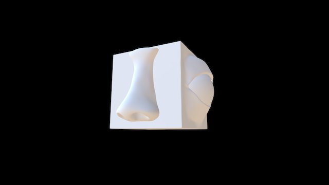 Facial Feature Practice 3D Model