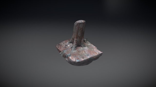 Photogrammetry Test 3D Model