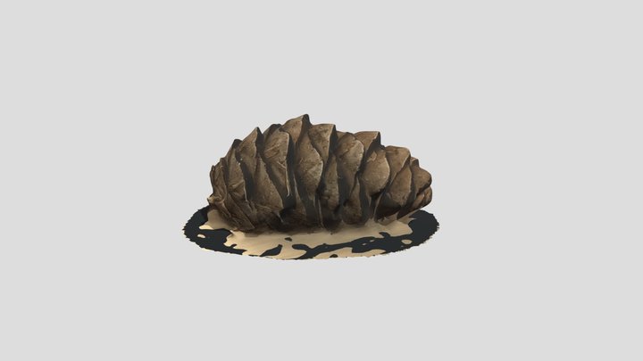 GEO252_Pinecone 3D Model