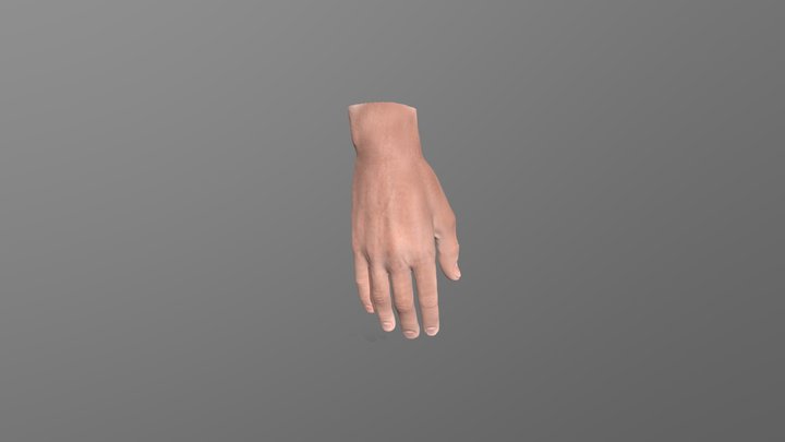male hand 3D Model