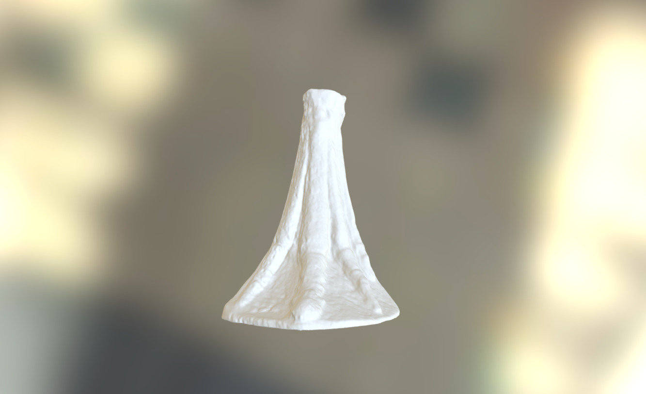 Orohippus Agilius Left Forefoot Bone - 3D model by Iowa State ...