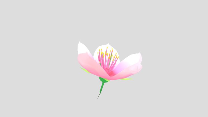 Blossom 3D Model