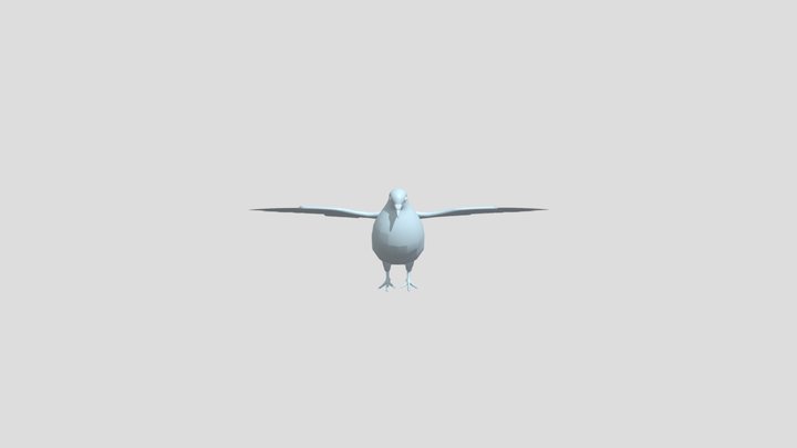 Pigeon Rigged 3D Model