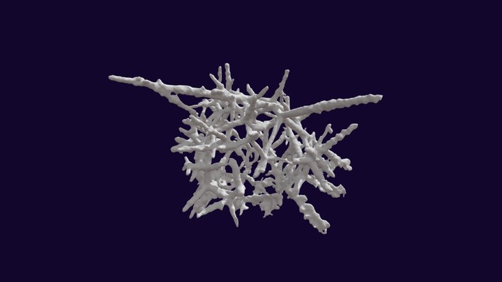 Rad B WBPS 23 19284 O 3D Model