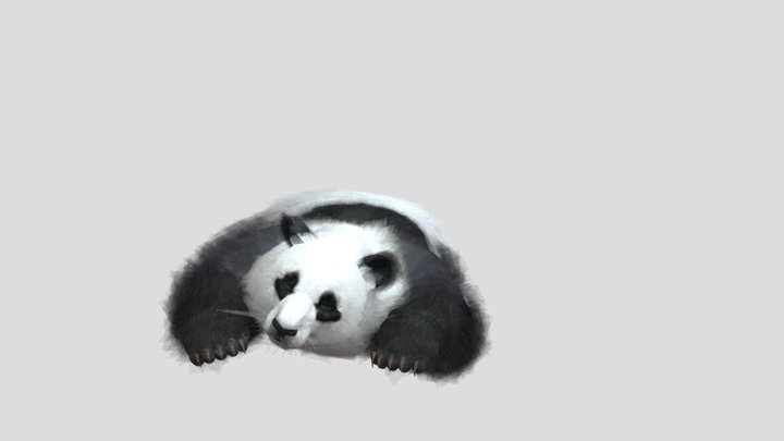 b pa 3D Model