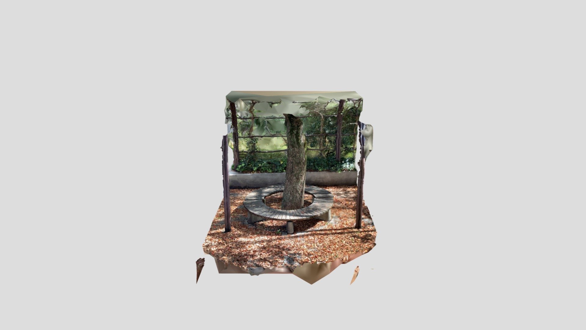 Tree and bench with RealityScan