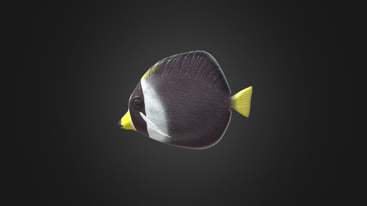 Fish 3D Model