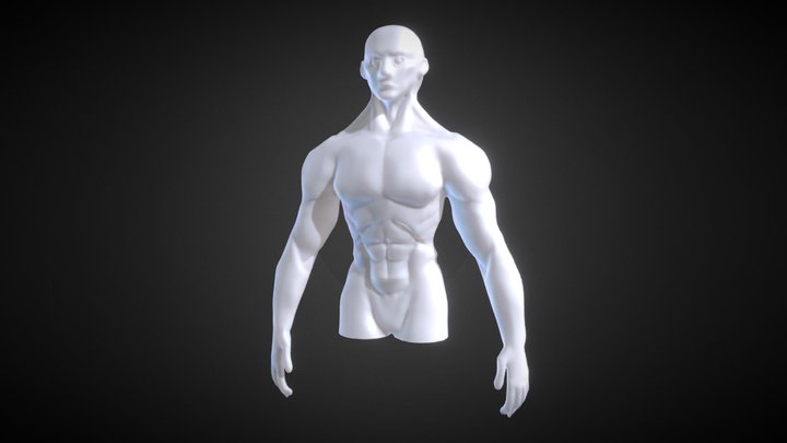 Sculptjanuary18 Day 22: "Torso male" 3D Model