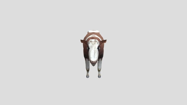 cow 3D Model