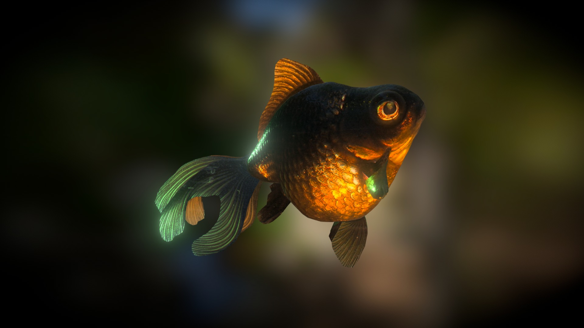 3D model Black Moor Goldfish (Smoothie-3D upload) - This is a 3D model of the Black Moor Goldfish (Smoothie-3D upload). The 3D model is about a fish swimming in water.