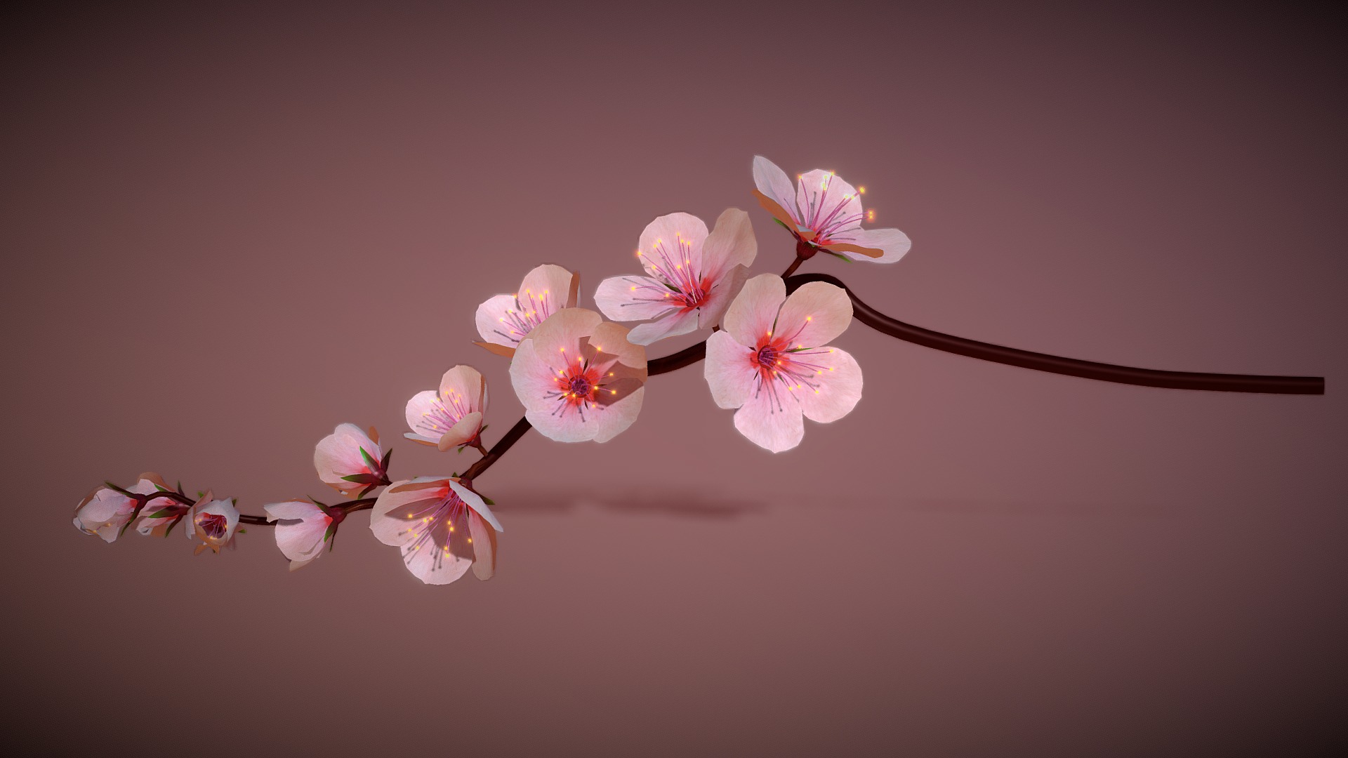 3D model Cherry Blossoms Branch Rigged Animated - This is a 3D model of the Cherry Blossoms Branch Rigged Animated. The 3D model is about a branch with pink flowers.