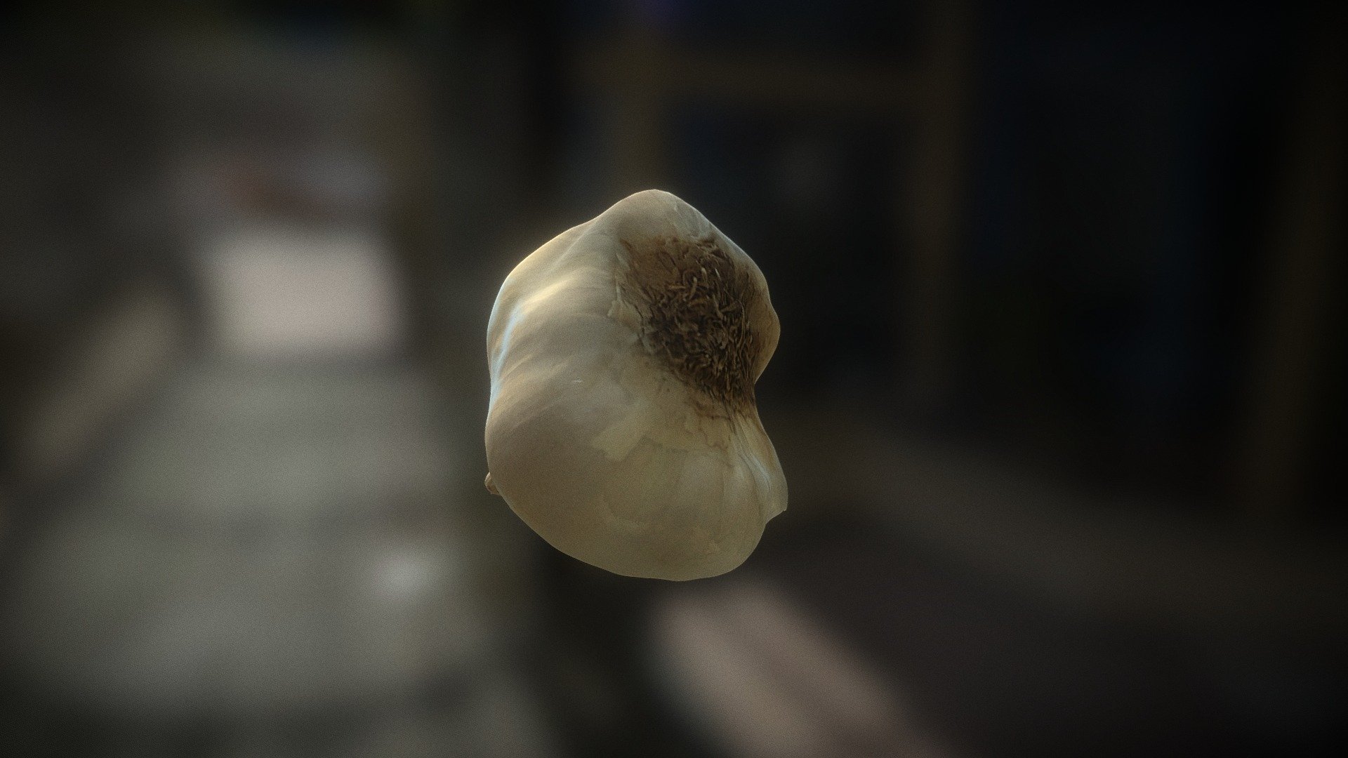 Garlic, _Bulb
