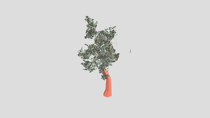 tree 3D Model