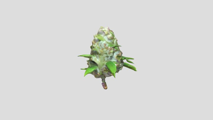 Cannabis Bud 3D Model