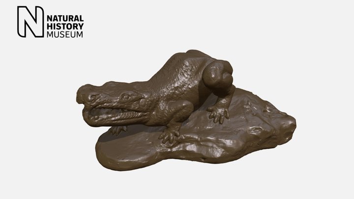 Crystal Palace Maquette - Labyrinthodon – Modello 3D gratuito STL