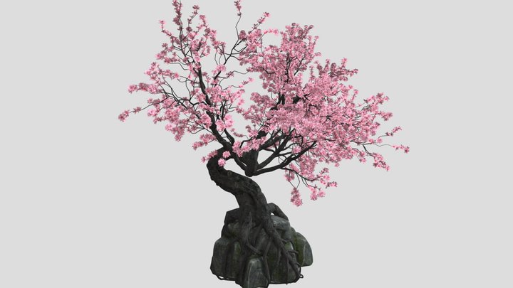 Cherry Tree – Kostenloses 3D-Modell STL