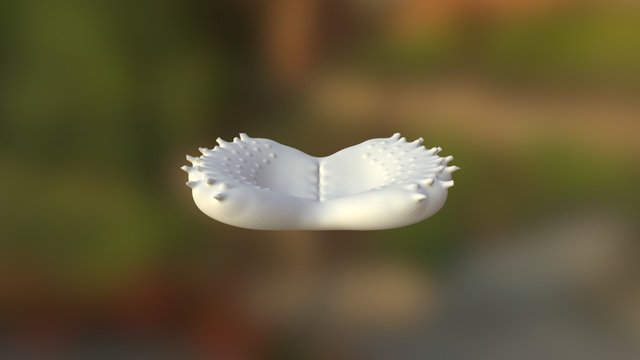 My model 3D Model