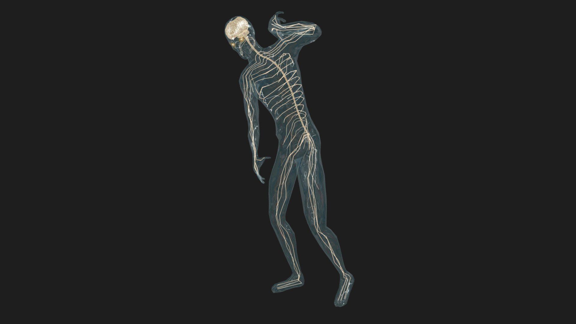 DissolvedGuy_01 - 3D model by nafla4 [2e824d9] - Sketchfab