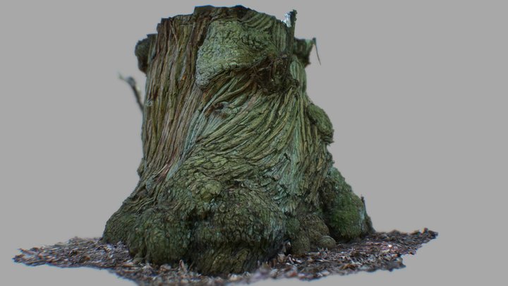 Twisted Tree 3D Model