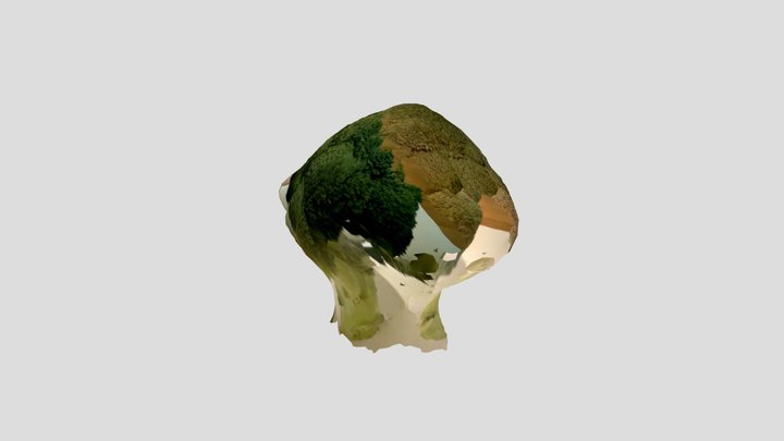 Untitled Scan 3D Model