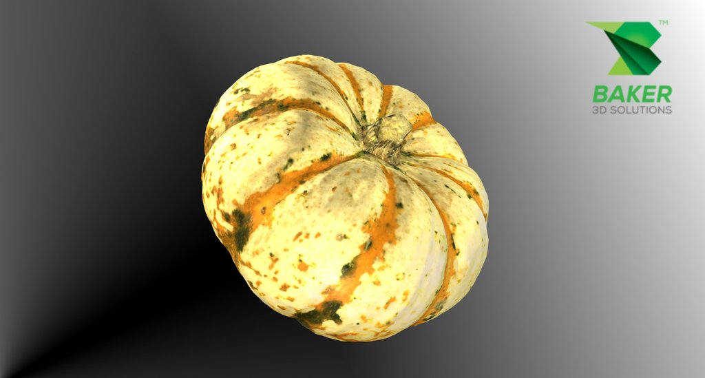 Gord- Artec Spider 3D Scanner