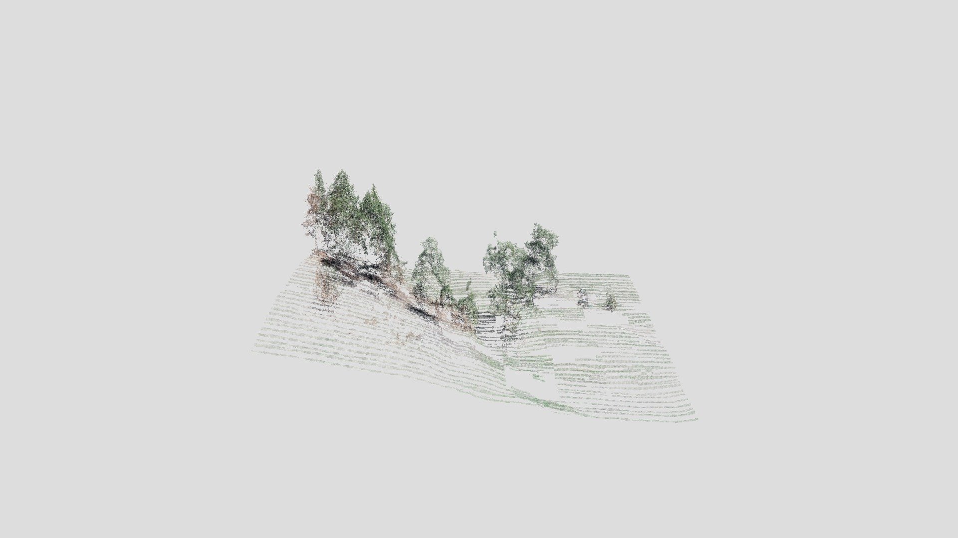 Restoration area and tree outcrop at Cal-wood