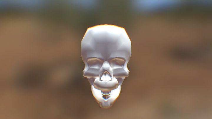 Skull 3D Model
