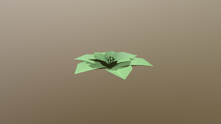 Leaf Maya Model 3D Model