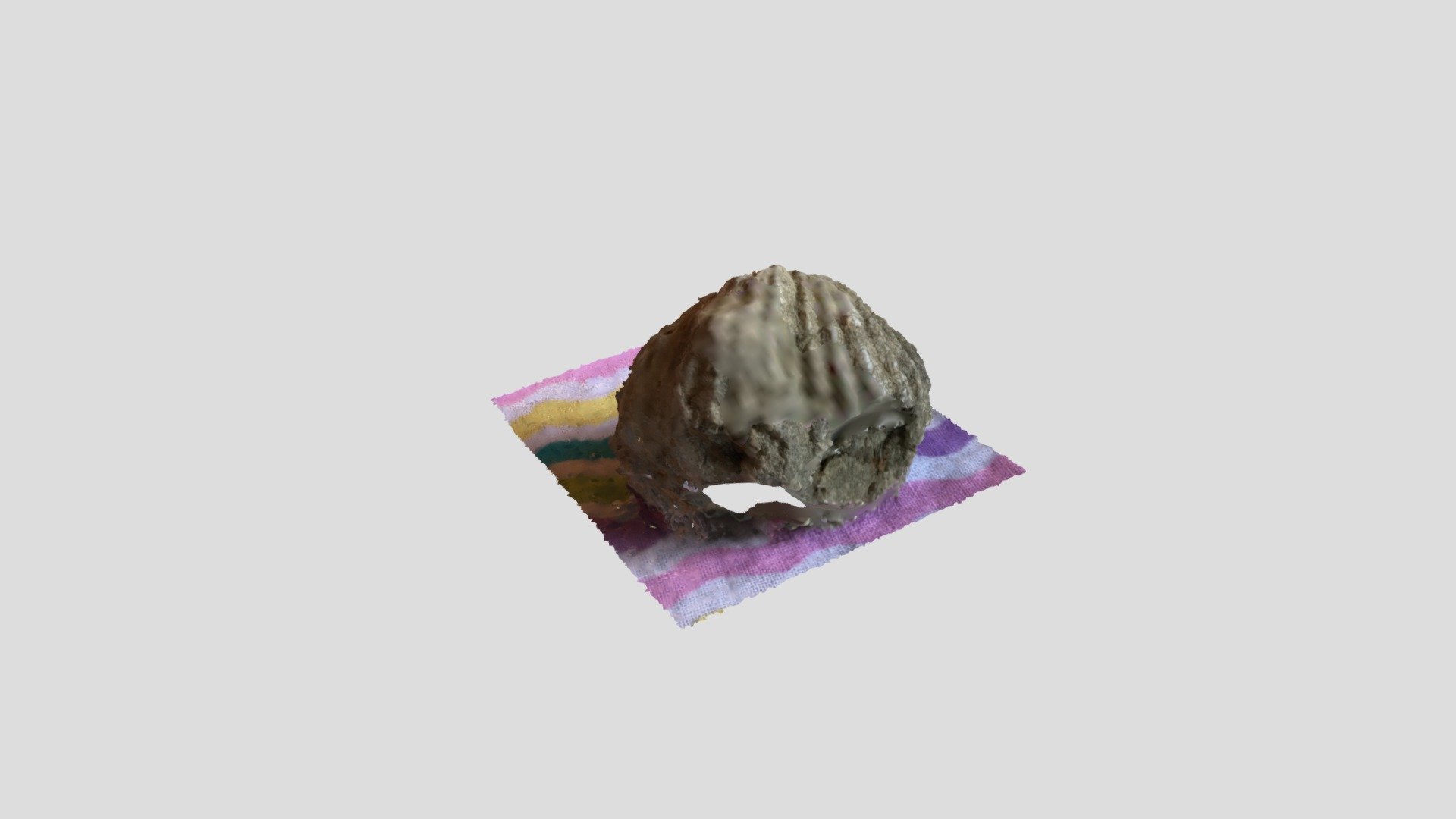 Brachiopod