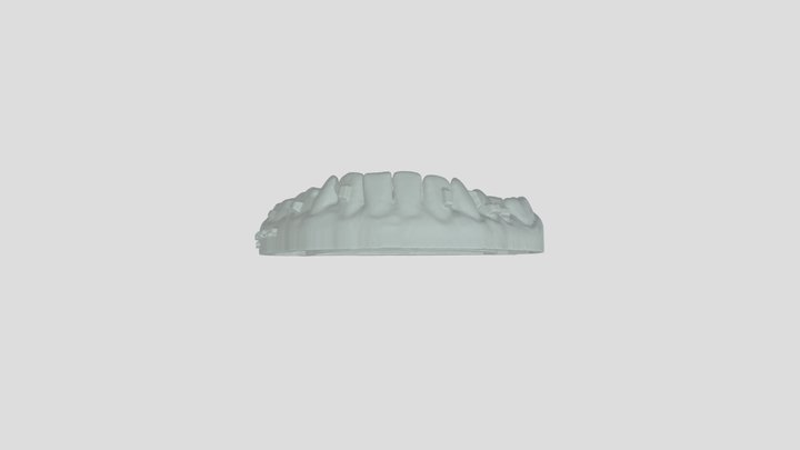 RAISSA MENEZES ALENCAR-mandible_2 3D Model
