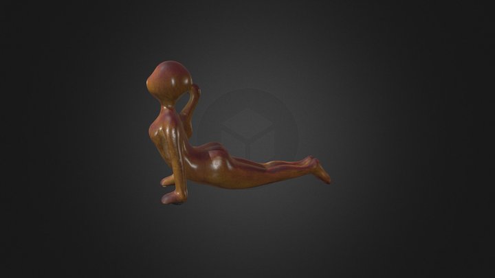 Yoga סריקה מול פוטוגרמטריה 3D Model