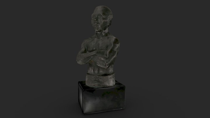 The Pugilist 3D Model